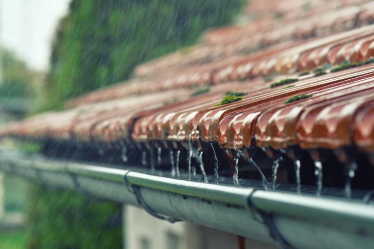 gutter cleaning service handyman services